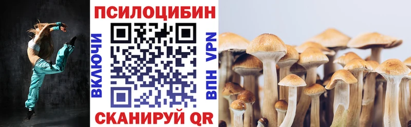 Псилоцибиновые грибы мицелий  Коряжма 